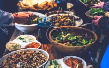 El Compañero Perfecto para Cada Momento