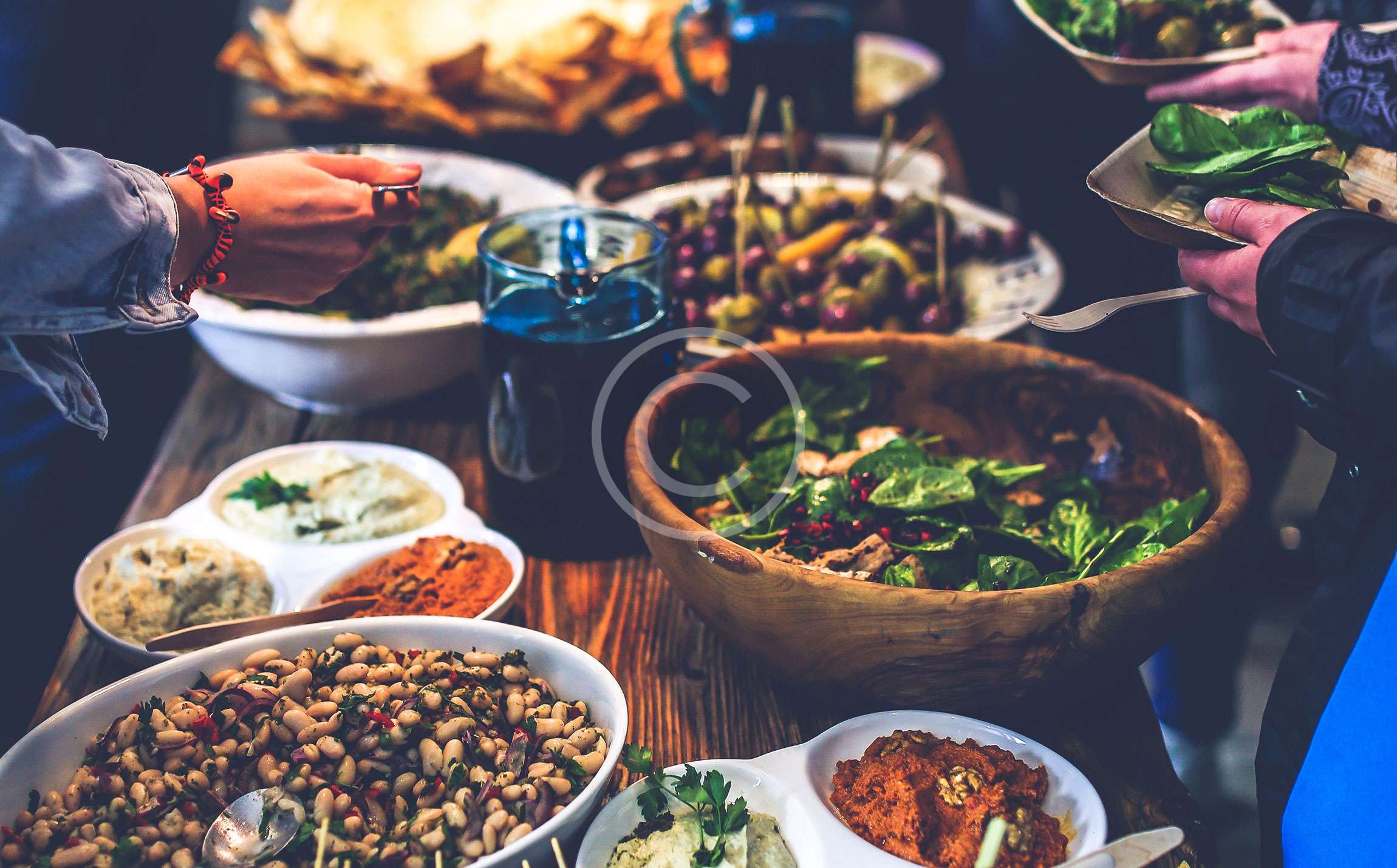 El Compañero Perfecto para Cada Momento