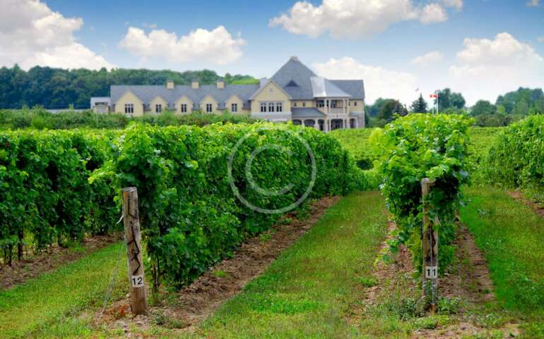 De Quinticusig para El Mundo