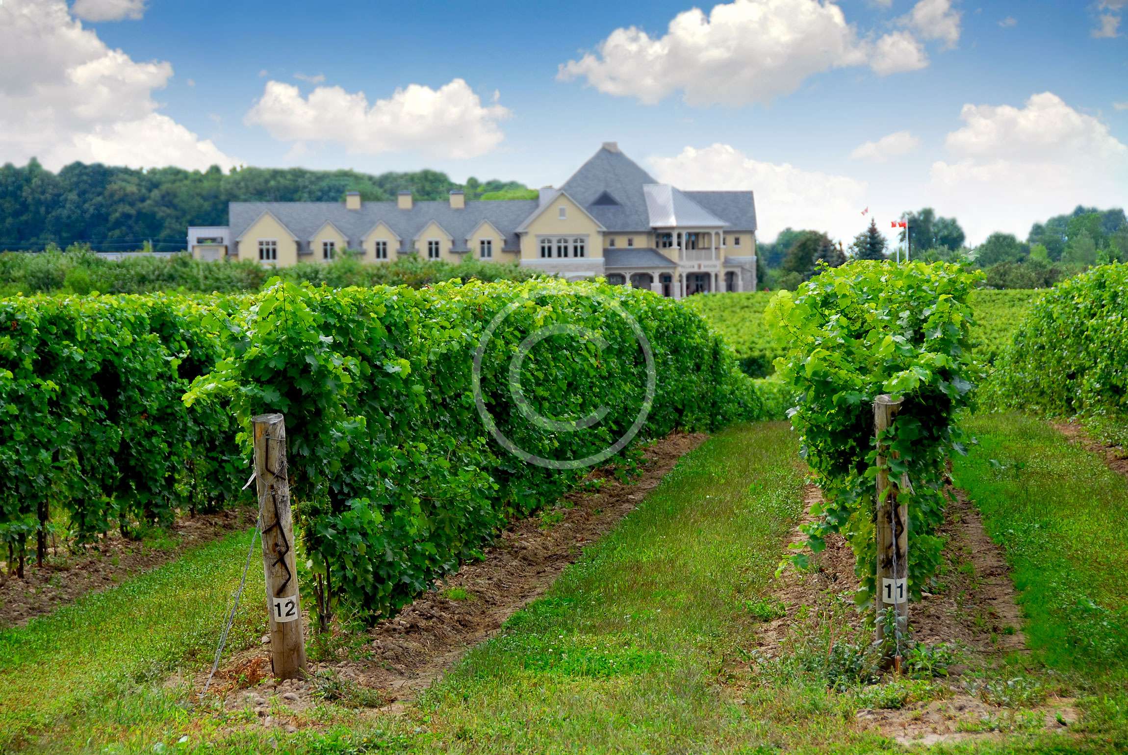 De Quinticusig para El Mundo