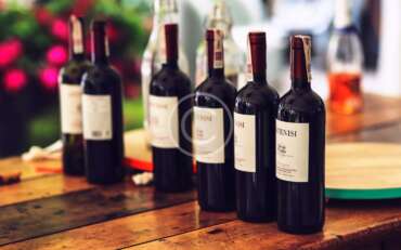 Vino Ecuatoriano: Herencia y Progreso