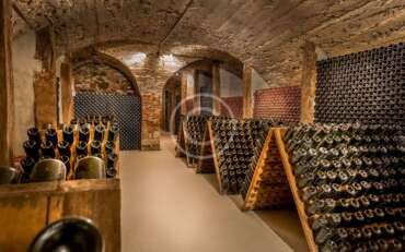 Raíces Andinas, Vinos Únicos